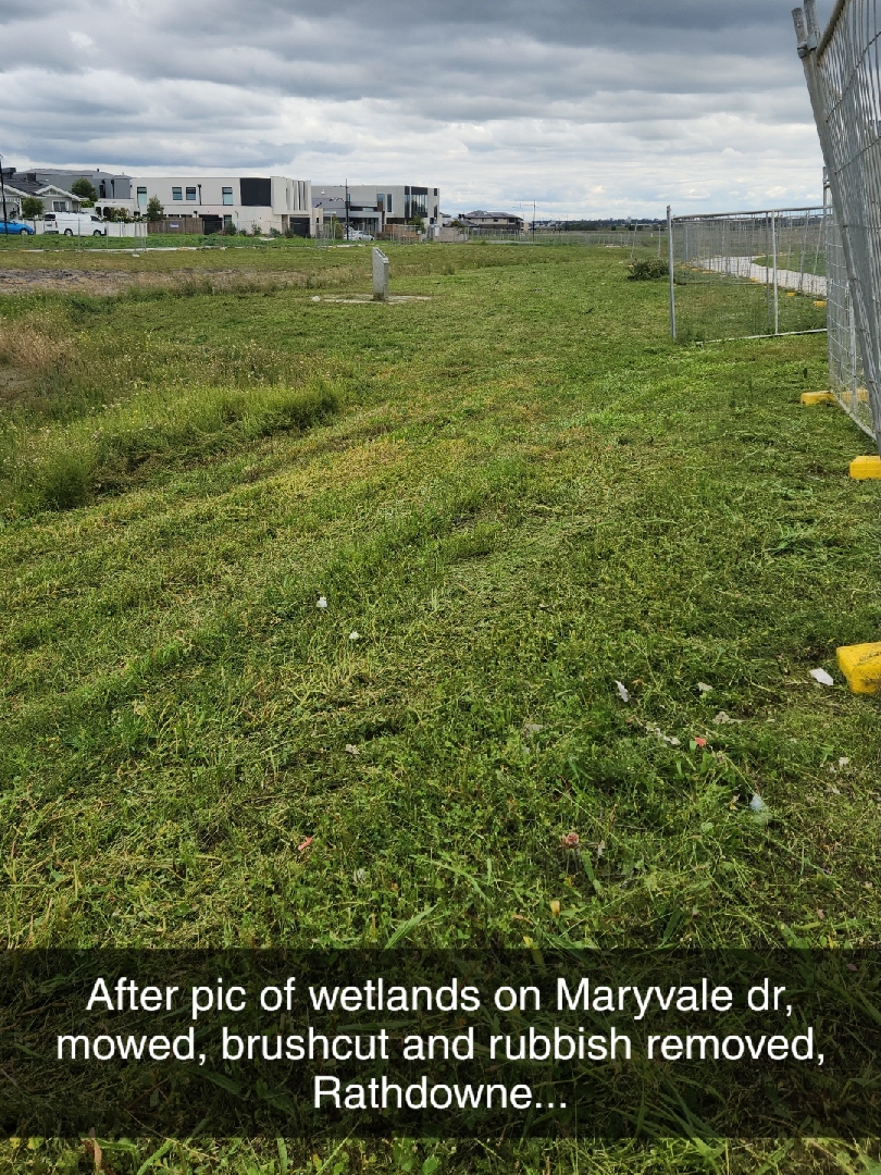 ala s16 right weed tfence after (11)