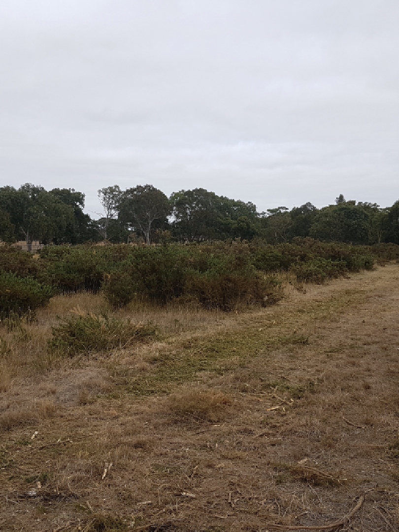 ala s16 right weed tfence after (2)
