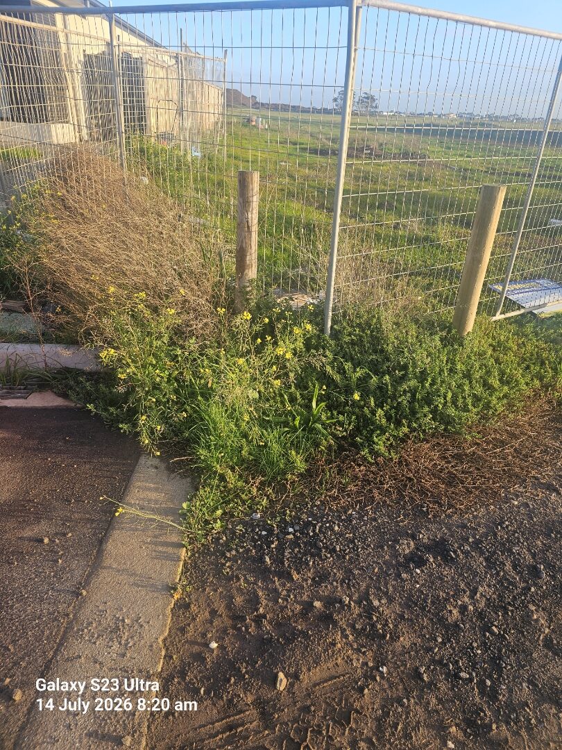 ala s16 right weed tfence